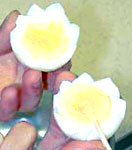 ゆで卵の飾り切り・作り方 4